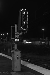 C9 NGR