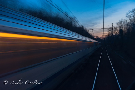 Corail filé nuit