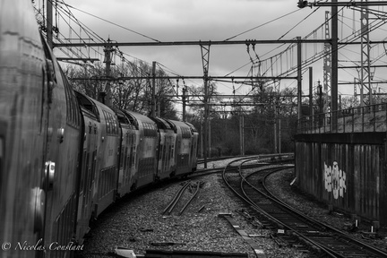 DSC 4110-2
