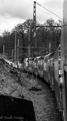 DSC 4126-2