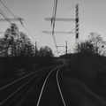 DSC 5191