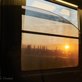 DSC 5534 1