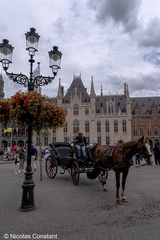 DSC 6155