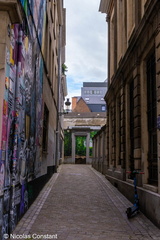 DSC 6444