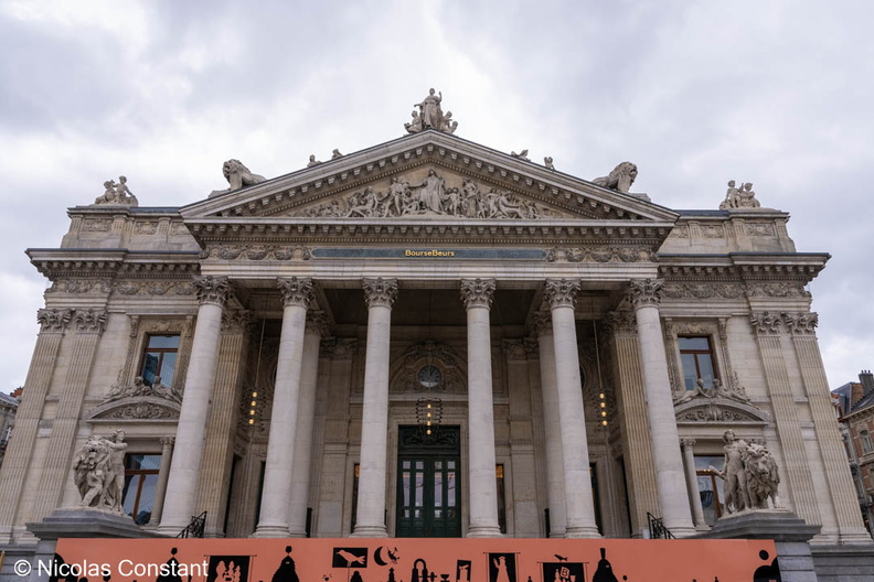 DSC_6453.jpg