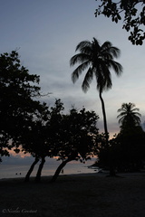 Martinique