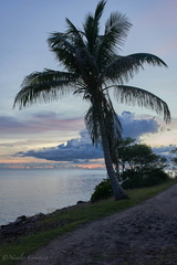 Martinique
