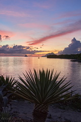 Martinique