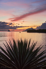 Martinique