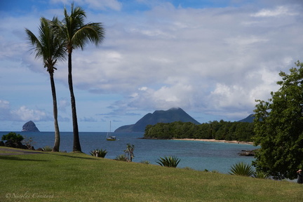Martinique