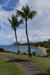 Martinique