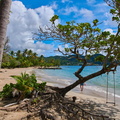 Martinique