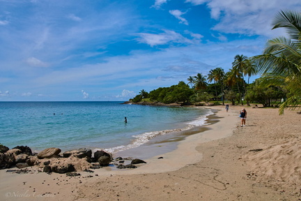Martinique