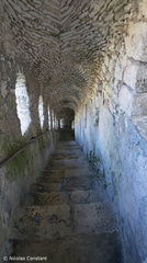 Corse