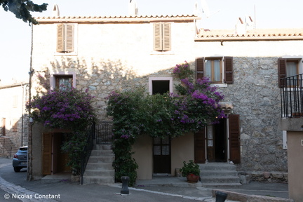 Corse
