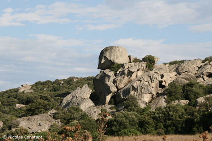 Corse