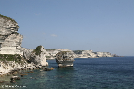 Corse
