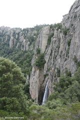 Corse