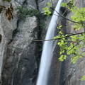 Corse