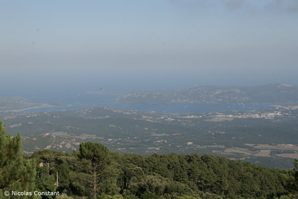 Corse