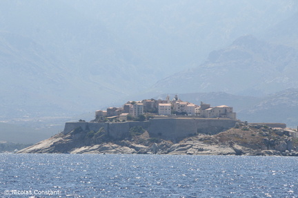 Corse