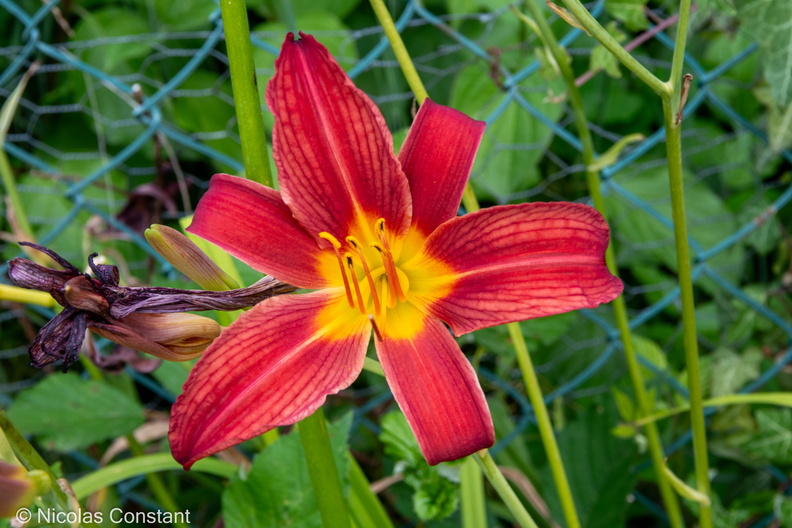 DSC_4886.jpg