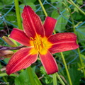 DSC 4886