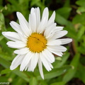 DSC 4892