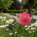 DSC 4893
