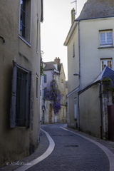 Chartres-31