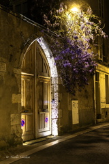 Chartres-44