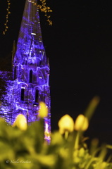 Chartres-47