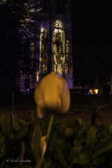 Chartres-50