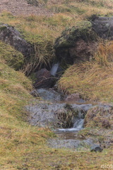 Islande-124 DxO