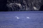 Tenerife