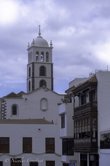 Tenerife 39