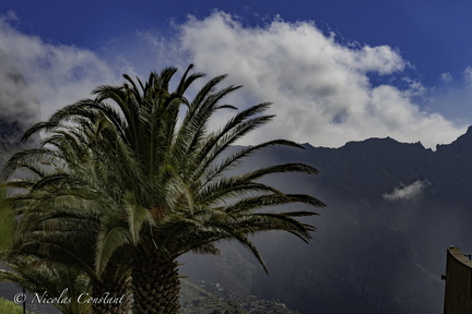 Tenerife 41